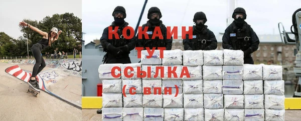 шишки Абинск